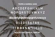 Tropica Marisol – Duo Typeface, a Script Font by Creacy Studio (Thumbnail 9 of 10)