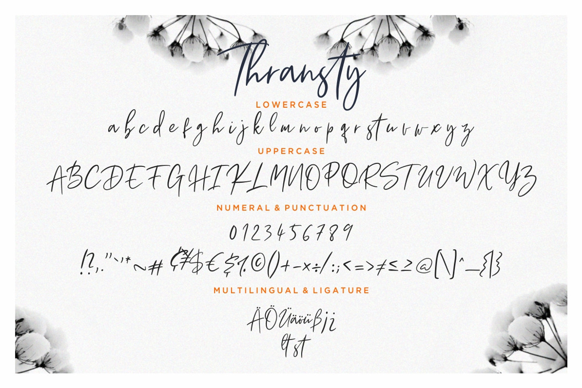 Thransty Handwritten Business Font preview 7