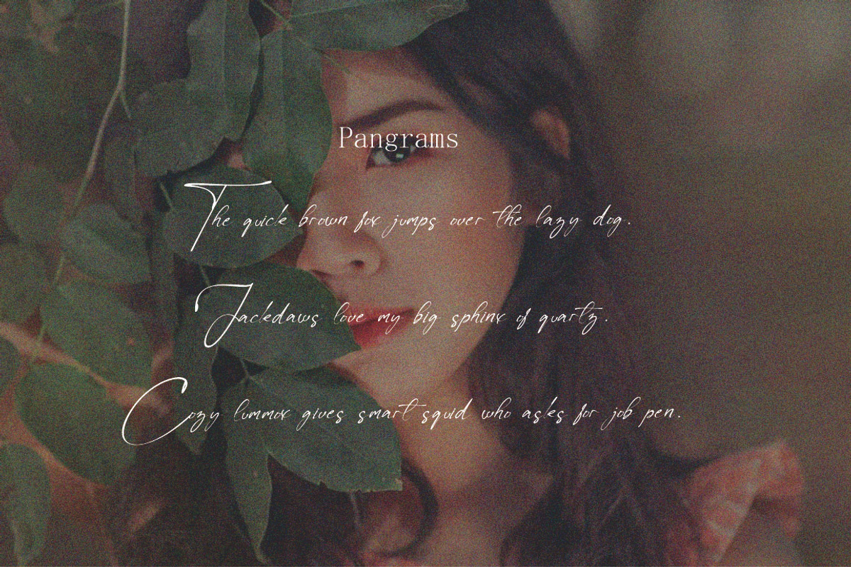 Sayley Signature Font, a Script Font by JNJ Studio (Photo 8 of 11)