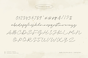 Bright Starla - Handwritten Script, a Script Font by Namara Creative Studio (Thumbnail 8 of 13)