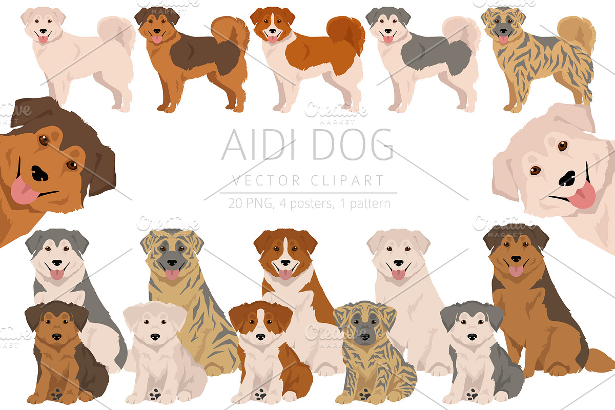 Aidi dog clipart, image size:1200x800