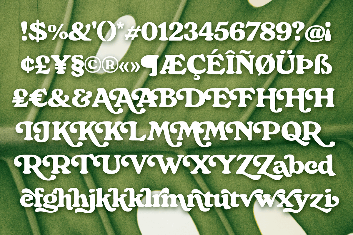 Monstera - Delicious Retro Serif, a Serif Font by Fenotype (Photo 12 of 13)