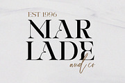 Riclose Font Duo, a Serif Font by Dora Typefoundry (Thumbnail 14 of 29)