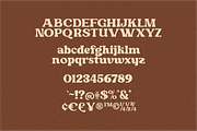 Monstario Serif, a Serif Font by 24Design Studios (Thumbnail 9 of 11)