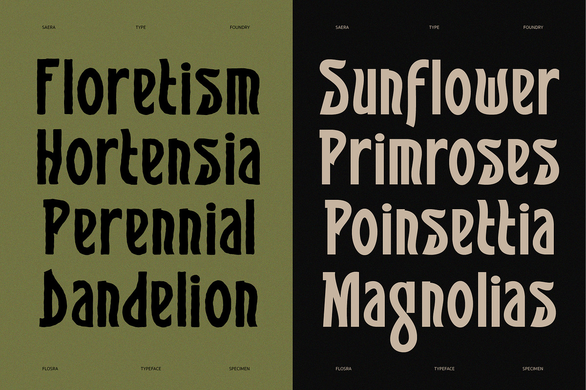 SFC Flosra - Folkcraft Display, a Slab Serif Font by Saera Type (Photo 8 of 12)