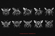 10 Bundle Dark Art Bumble Bee Skull, an Illustration by Morspective (Thumbnail 6 of 7)