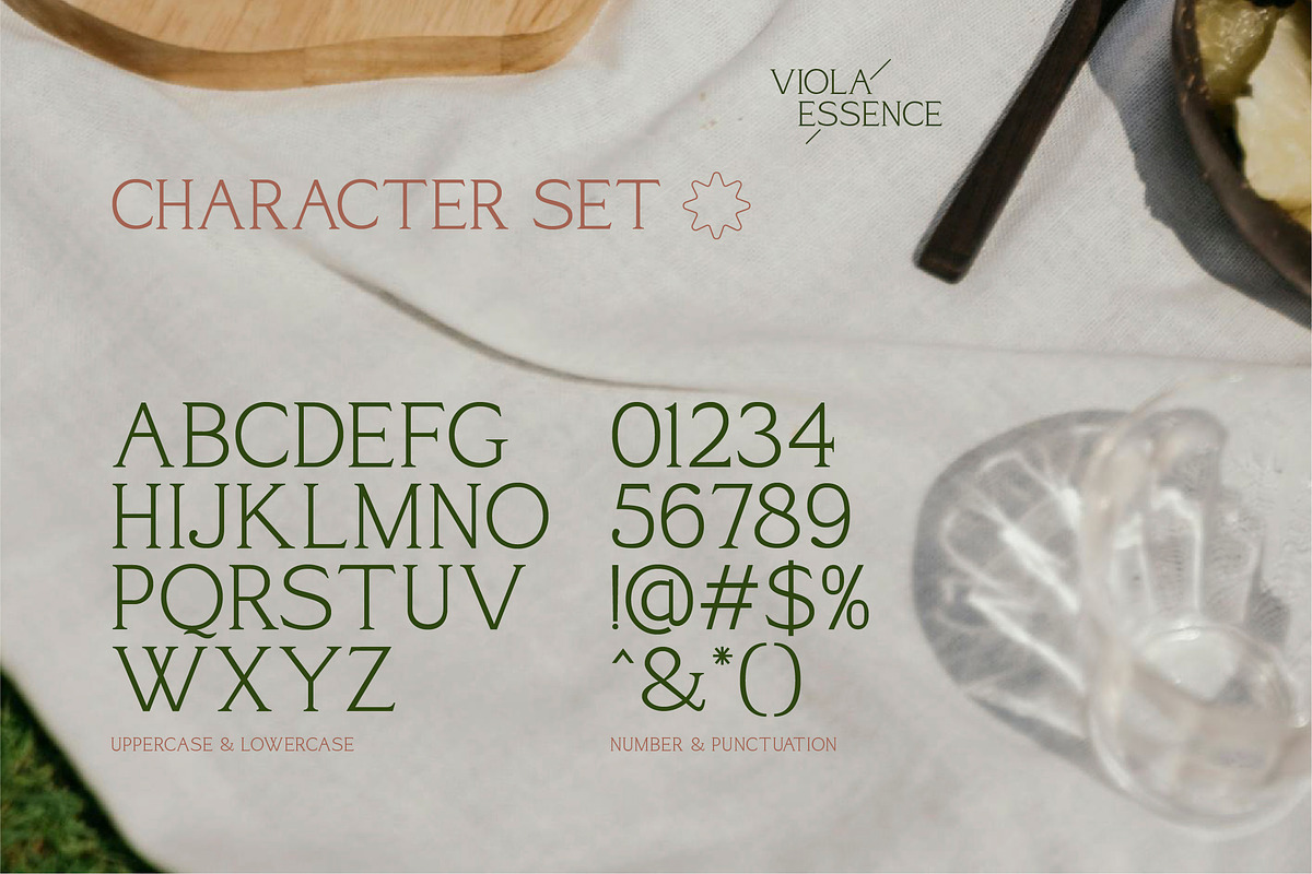 Viola Essence – Creative Serif Font, a Serif Font by Vadovastd (Photo 6 of 7)