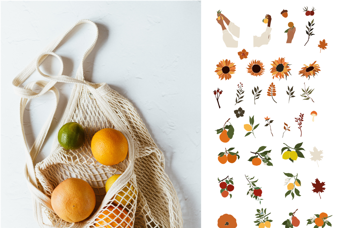 Autumn Harvest vector Collection, an Illustration by Yana_mide (Photo 3 of 8)