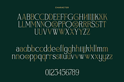 Wordstud - Luxury Serif Display Font, a Serif Font by MooneseyeType (Thumbnail 2 of 8)