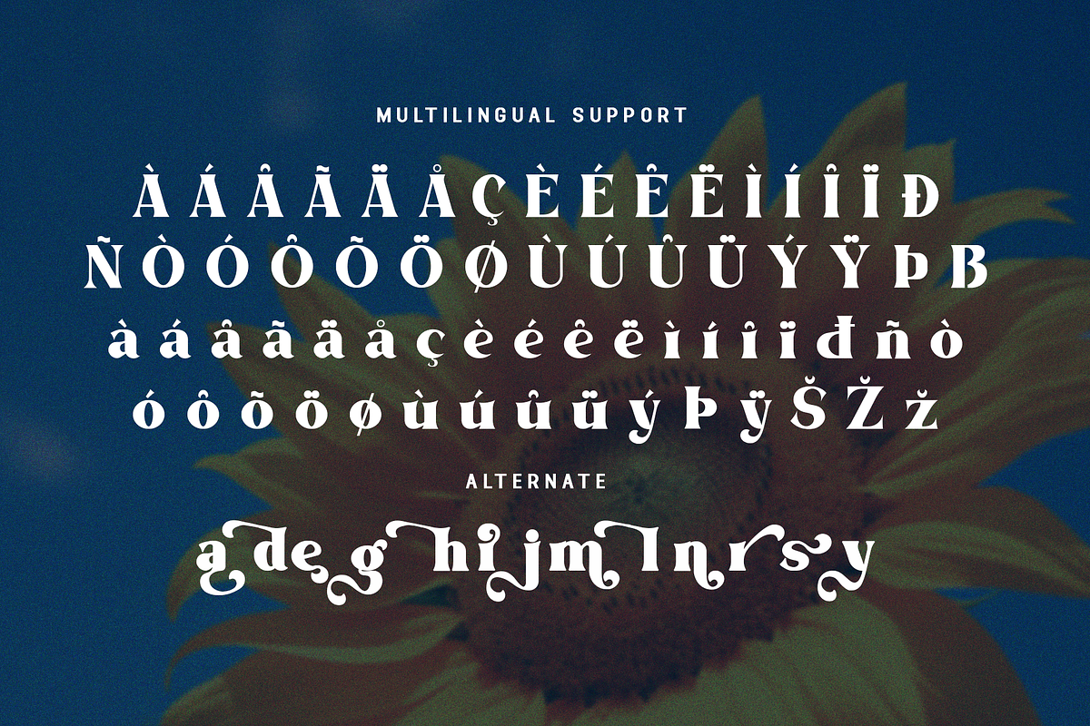 Daylight - Bold Modern Vintage Font, a Serif Font by overlaytemplates (Photo 6 of 6)
