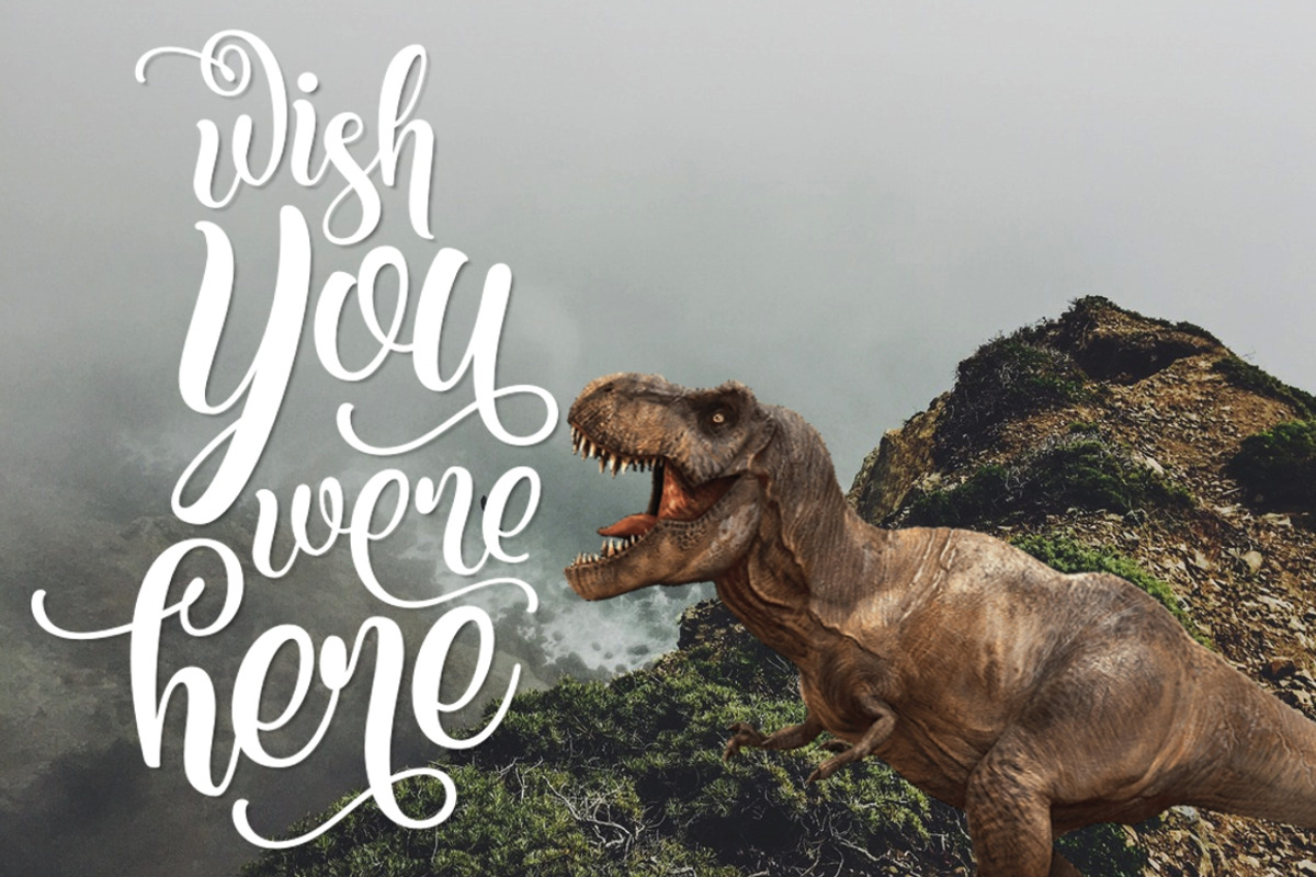 Kite Script, a Script Font by Twicolabs Fontdation (Photo 9 of 10)