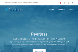 Peerless-multiporpuse Email Template