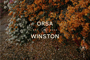 Karl – Cool Sans w Unique Alternates, a Sans Serif Font by Local Desk Designstudio (Thumbnail 12 of 28)