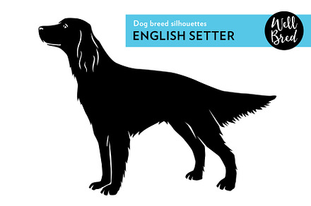 English Setter Vector Silhouette