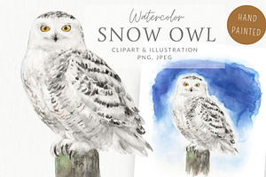 Watercolor Snowy Owl, an Animal Illustration by Kolorata Art
