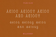 WILLOUGHBY by Tyler Elise, a Serif Font by tylerelise (Thumbnail 6 of 7)