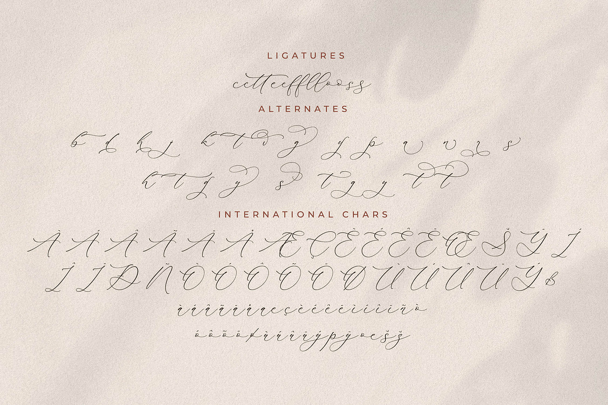 Fantasy Qelirole Stylish Font Duo, a Serif Font by Storytype Studio (Photo 13 of 15)