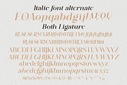 Nostalgia Typeface, a Serif Font by MaxArt Foundry (Thumbnail 19 of 20)