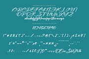 Midnight Sneaker, a Script Font by operatype.co (Thumbnail 13 of 15)