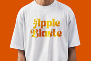 Shyne Roska Groovy Retro Serif, a Serif Font by timelesstype.co (Thumbnail 17 of 20)