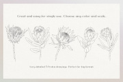 Blossom - floral line art, an Illustration by Anna.Klets (Thumbnail 6 of 14)