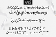 Inside, a Script Font by Larin Type Co. (Thumbnail 9 of 9)