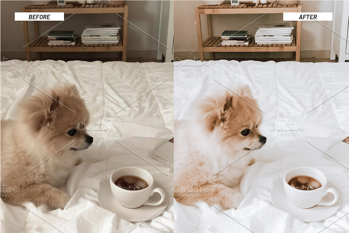 Lightroom Presets Home & Interiors, an Action Add-On by Best Lightroom Presets (Photo 8 of 19)