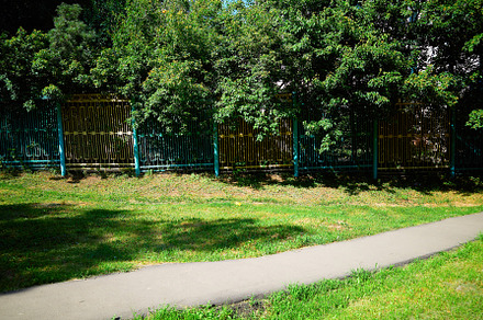 Diagonal path in summer park landscape background, a Nature Photo by RETROWAVE '88