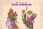 Weird Mushrooms, an Object Illustration by Ink Stories (Thumbnail 11 of 23)