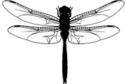 Dragonfly Silhouette, an Object Graphic by Designer_Momina (Thumbnail 8 of 20)