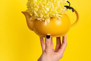 Hand holding a yellow teapot with a blooming chrysanthemum again, an Abstract Photo by Ales Munt