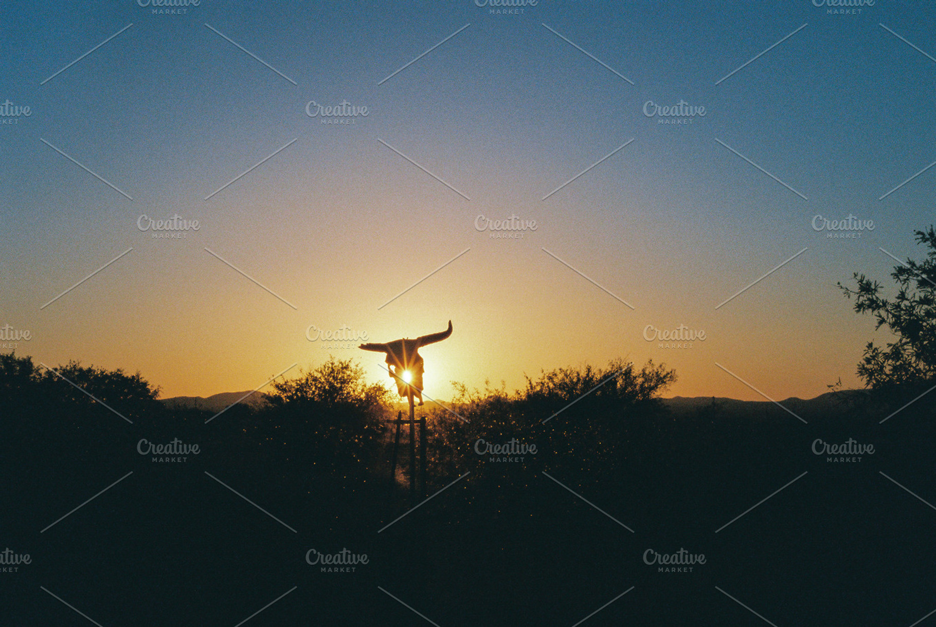 Desert sunset stock photo, a Nature Photo by Lilly Lane Market