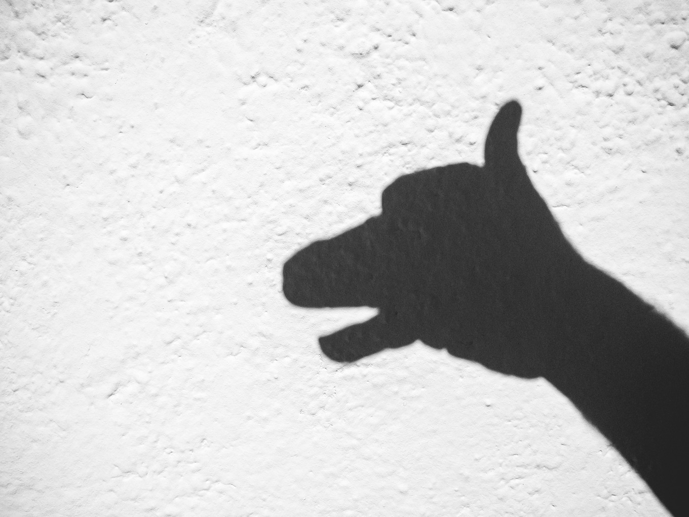 Shade dog from hands featuring hand, shadow, and dog, an Abstract Photo ...