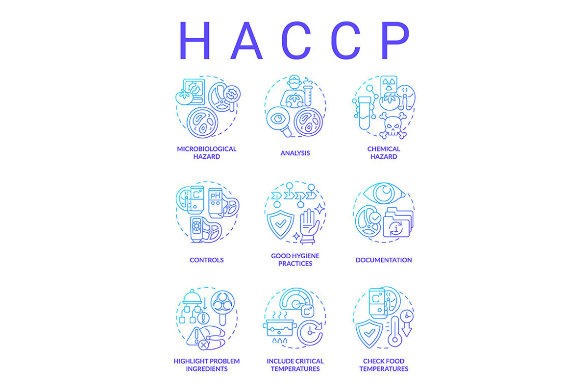 HACC blue gradient concept icons set, an Icon by IMG Visuals