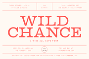 Wild Chance Complete 6-Font Family, a Serif Font by Up Up Creative (Thumbnail 15 of 15)