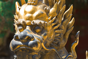 Bronze lion in China Emperor garden, an Architecture Photo by Vector Tradition