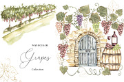 Watercolor Grapes Collection, a Decorative Illustration by MayaNavits (Thumbnail 1 of 9)