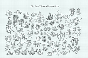 Minimalist Succulent Clipart Bundle