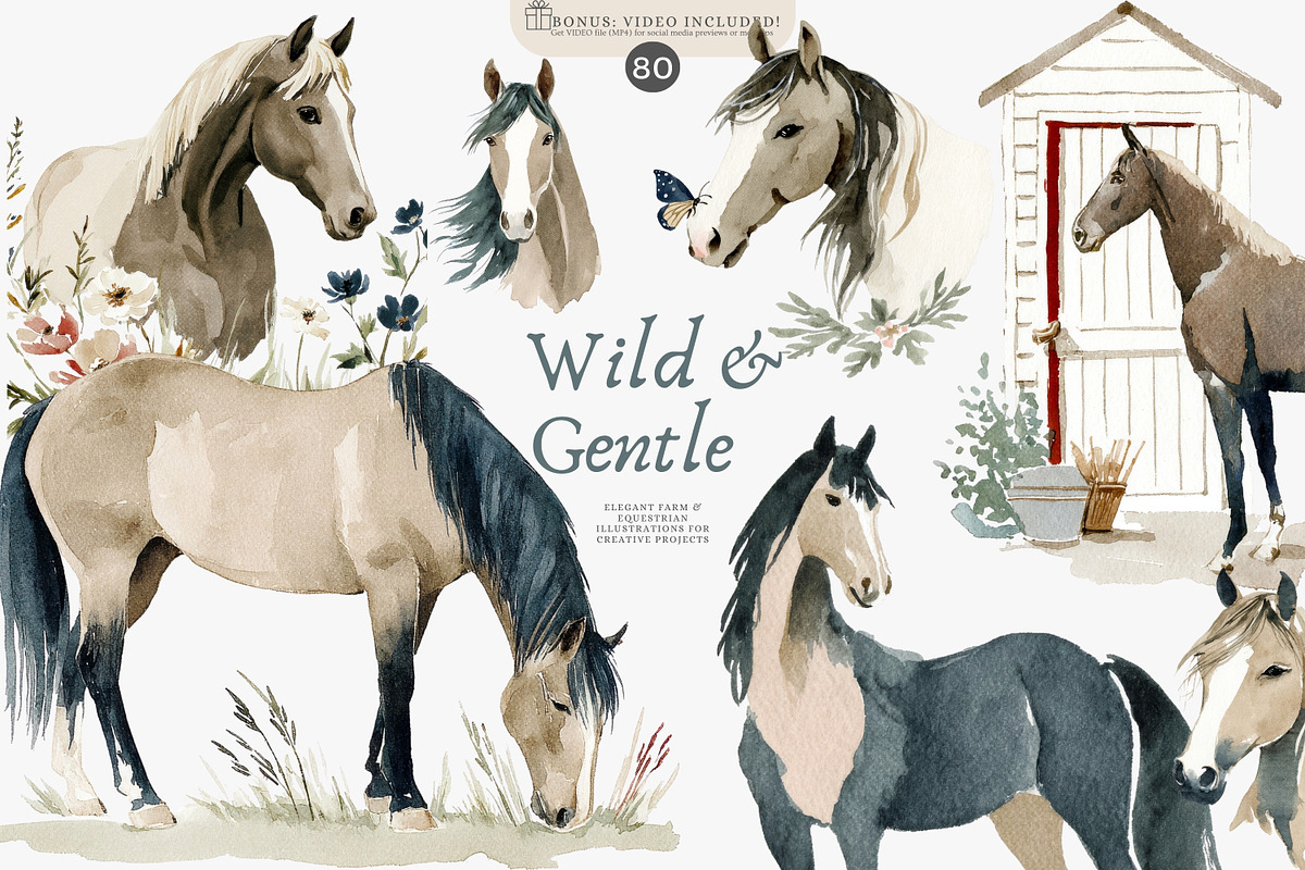 horse clipart horse illustration set, an Illustration by Patishop Art (Photo 1 of 10)