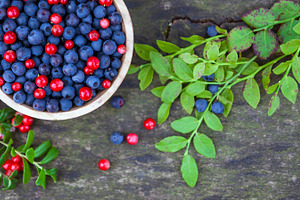 Bowl of blueberries and cranberries, a Food & Drink Photo by BOOCYS
