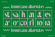 TAN - SALTERS, a Font by TanType (Thumbnail 13 of 14)
