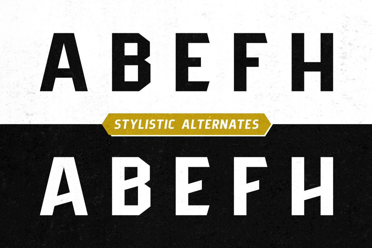 Pittsbrook Sans | 4 Fonts preview 7
