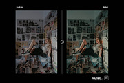 Muted - Actions and Presets, a Preset Add-On by Hydrozi Presets (Thumbnail 6 of 7)