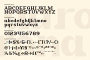 Aurona – Bold Creative Serif, a Serif Font by Artiveko (Thumbnail 3 of 8)