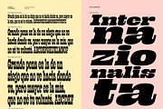 Lapoya Font, a Slab Serif Font by Cuchi, qué Tipo! Foundry (Thumbnail 5 of 18)