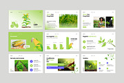 Agriculture Pitch Deck  Presentation, a Presentation Template by KreateTribe (Thumbnail 3 of 6)