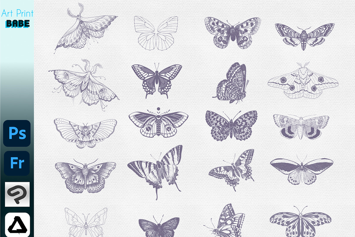 Photoshop Butterfly Stamp ClipStudio, a Brush Add-On by ArtPrintBabe (Photo 5 of 6)