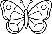 Butterfly SVG Bundle, an Object Graphic by Gfx_Store (Thumbnail 14 of 16)