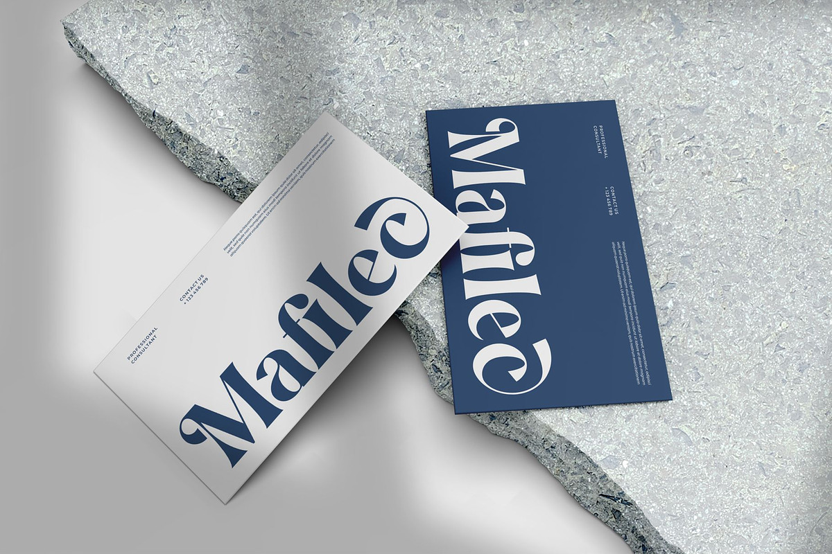 Qufyne || Elegant Classy Serif Font, a Serif Font by Ermedia Studio (Photo 7 of 10)