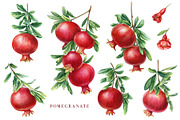 Fruits and berries, an Illustration by Hanna Hryharenka (Thumbnail 12 of 16)